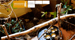 Desktop Screenshot of mississippihealthcenter.com